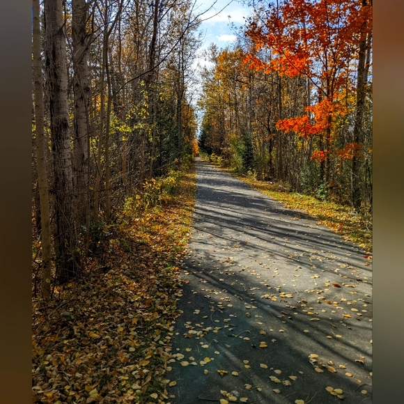 Meet your Posher, Heather - Picture 1 of 1